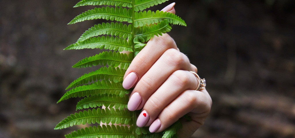 polished hands holding a fern leaf